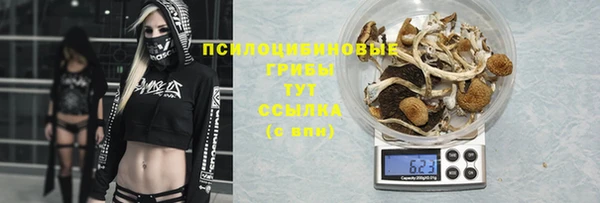 ешки Балабаново