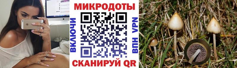 Псилоцибиновые грибы прущие грибы  Белогорск 